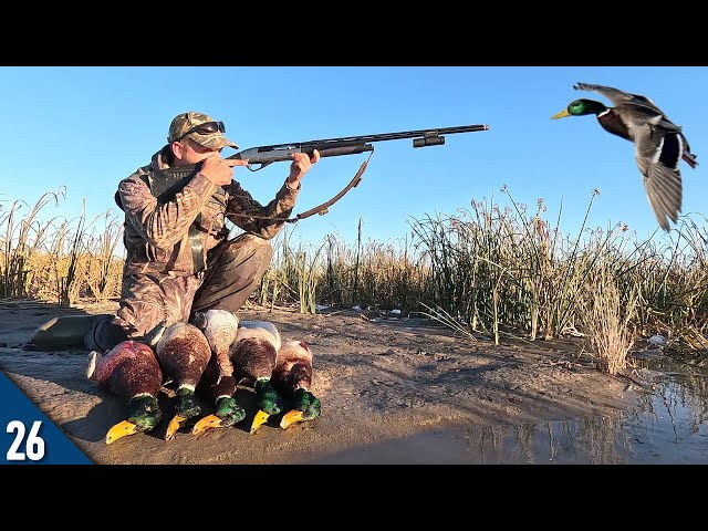 COLD FRONT Brought the MALLARDS! (Limited Out) | 28 Gauge Duck Hunting class=