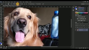 Photoshop Tutorial 2017 #24 How to use the blur tool sharpen tool and smudge tool