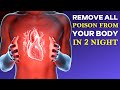 Remove All Poison From Your Body In 2 Night | Health and Beauty