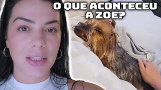 ZOE FOI PRA CIRURGIA + MINHA IRMÃ PERDEU TUDO 😭