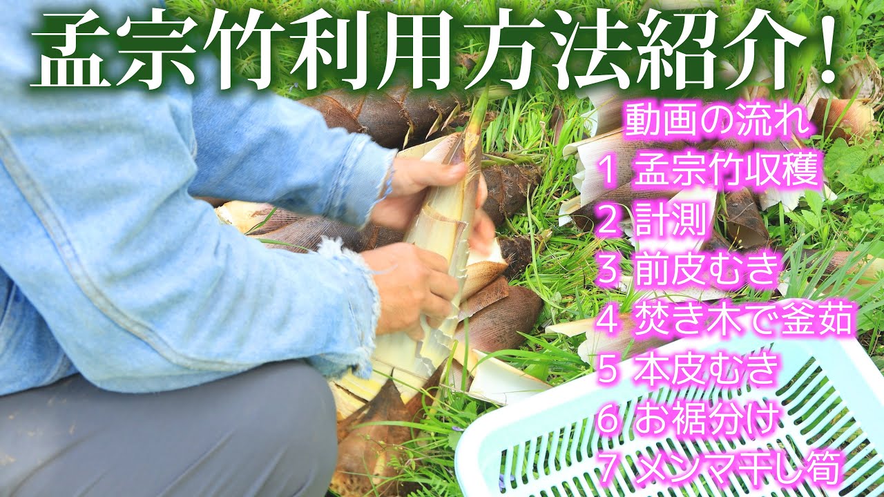 もうそう竹利用方法色々 収穫☞皮むき☞アク抜き☞仕上げ☞干し筍 - YouTube