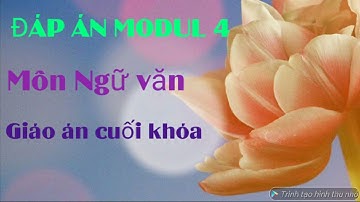 Đáp án modul 4 môn Văn, phần giáo án cuối khóa. Trong video có hướng dẫn cách tải bản word về máy