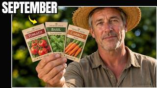10 Crops to Direct Sow in September, Wherever You Live!