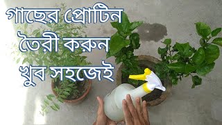 গাছের তরল জৈব প্রোটিন সার,protin fertilizer for all plants,তরল জৈব সার,natural fertilizer,জৈব সার