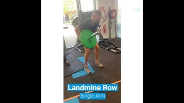 Single Arm Landmine Row