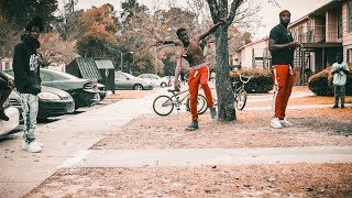 bgm smoke- calling my zoo babies