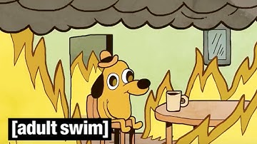 This is Fine! | Adult Swim