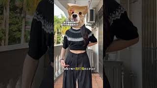 Discover the Elegance: Old Money Style with Bloggers Today