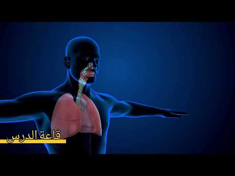 مسلك الهواء في الجهاز التنفسي للسنة الثالثة ابتدائي