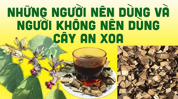 NHỮNG NGƯỜI NÊN DÙNG VÀ NGƯỜI KHÔNG NÊN DÙNG CÂY AN XOA