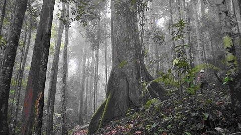 Live misteri‼️Ngamen ke Hantu dapat apa kira kira?
