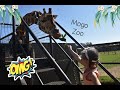 Our first holiday in our caravan, adventure to Mogo Zoo, Australia. Part 3
