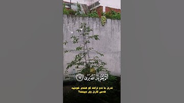 سورة العلق - قارئ شيخ رعد محمد الكردي