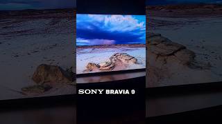 SONY BRAVIA 9!! The Real Deal! #BRAVIA9 #SONYBRAVIA9 #XR90