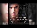 Schattenwolf episode 6  fantasyserie academy of shapeshifters  by amber auburn