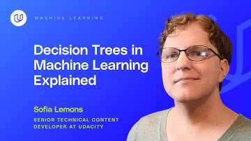 Decision Trees in Machine Learning Explained: Step-by-Step Tutorial