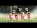 Funny worms   