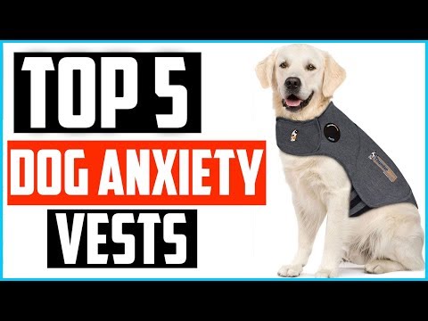 Top 5 Best Dog Anxiety Vests in 2024