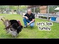 Turkey Talk with Fernando the Tom Turkey