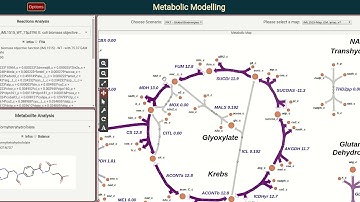 Chemocobra: Metabolic Modelling & Chemoinformatics.
