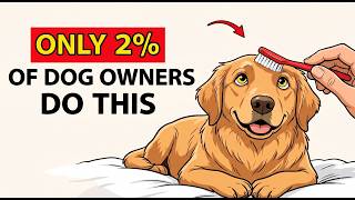 7 Things Dogs Love and Only 2% of Owners Actually