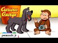 Hundley Gets FRAMED! George is on the Case 🐶 | CURIOUS GEORGE