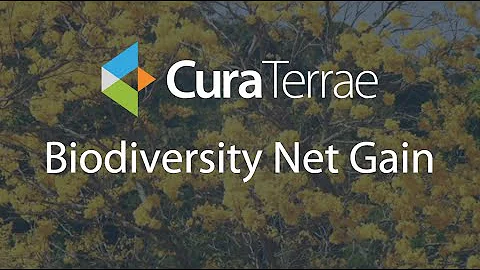 Biodiversity Net Gain: What You Need To Know