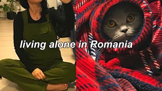 My purrfect worklife: Living Alone Vlog,  Freelancing in Romania with my cute cat, Easy Cooking