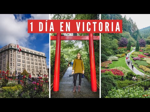 Visitando VICTORIA en 1 Día + Paseo por los JARDINES BUTCHART en Columbia Británica, Canadá 🇨🇦