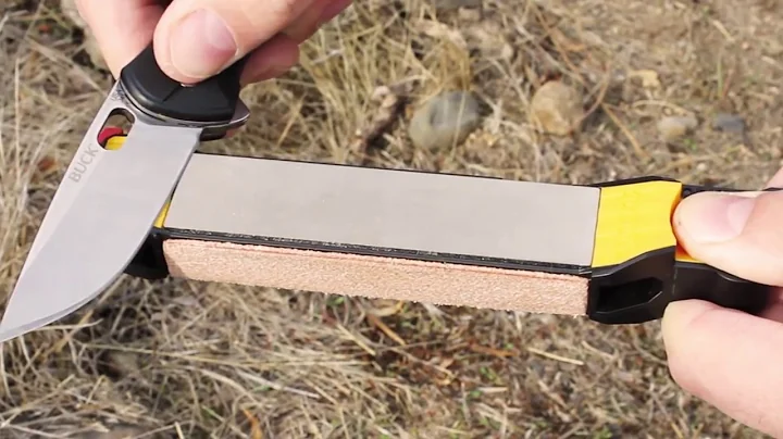 Guided Field Sharpener - Demo