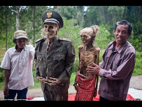 Видео: Как да смиламе трупи