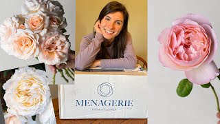Menagerie Farm Roses Unboxing!!