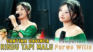 CANTIKA DAVINCA // RINDU TAPI MALU // PURWO WILIS // SLAMET AUDIO