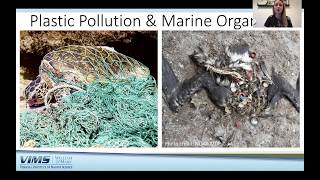 Microplastics