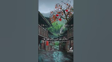تلاوة خاشعة مؤثرة للقارئ عبدالرحمن مسعد...( الذين صبروا وعلى ربهم يتوكلون)