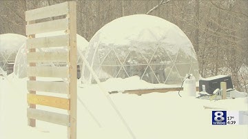 From tree to table: The sweet journey of maple syrup