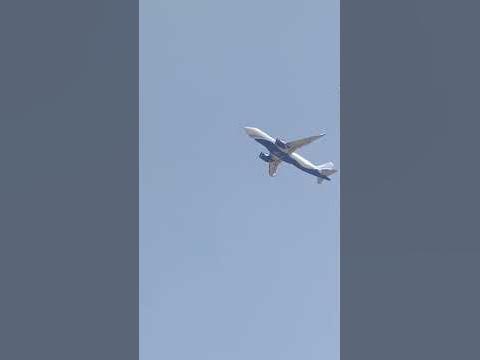 pichkari aeroplane holi