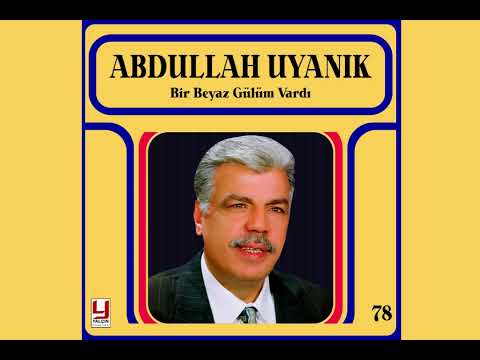 Abdullah Uyanık  -  Bir Beyaz Gülüm Vardı