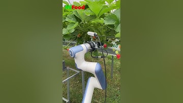 Revolutionizing Agriculture: Meet MiFood