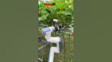 Revolutionizing Agriculture: Meet MiFood