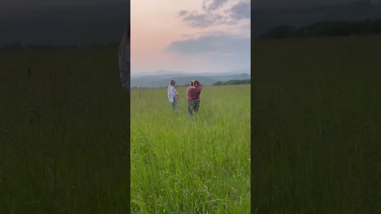 Such a beautiful grassy field for this dream maternity session! 