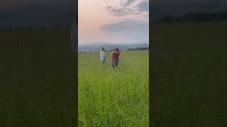 Such a beautiful grassy field for this dream maternity session! #maternityphotoshoot #maternity