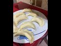 عمل الجبن مع جين