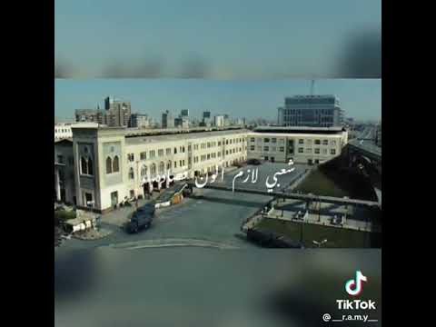 اغنيه اه لو كنت رئيس محمد سعد حاله واتس استروهات