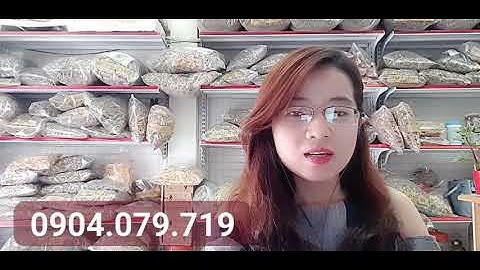 Cây dừa cạn hỗ trợ điều trị bệnh Ung thư máu hiệu quả