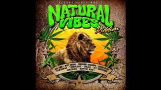 Natural Vibes Riddim Mix (Full) Feat. Busy Signal, Jah Cure, Ginjah, Lutan Fyah, Pressure (Feb 2024)