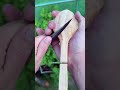 I Hand-Carved a $2,000 Wooden Spork From Scratch