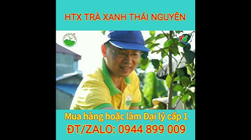 chè tân cương giá bao nhiêu? | Đang tuyển NPP,  Đại lý cấp 1