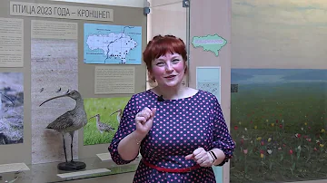 Кроншнеп - птица года в России в 2023 г.