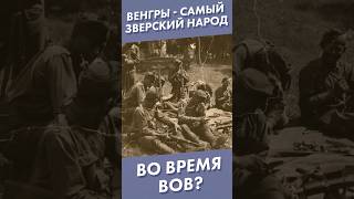 Венгры - самый зверский народ во время ВОВ? #shorts #вов